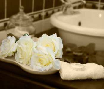 A White Rose Guest House ブルームフォンテーン エクステリア 写真